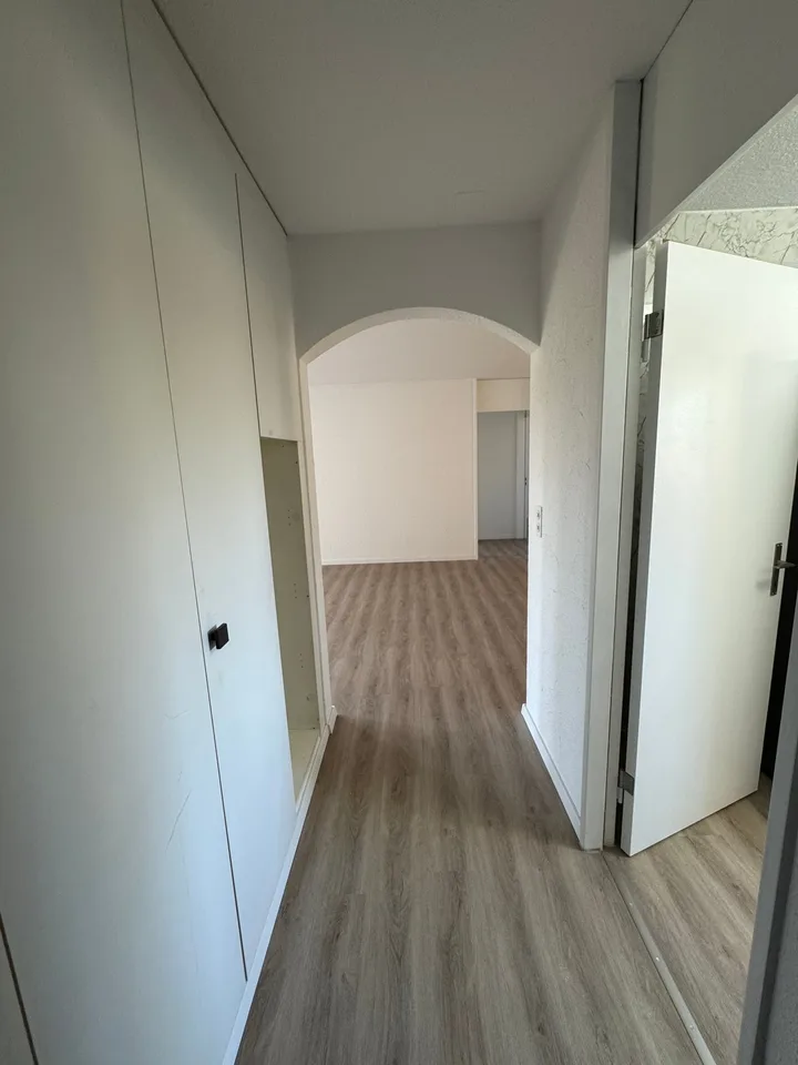 Appartement rénové récemment, tour de lavage privée