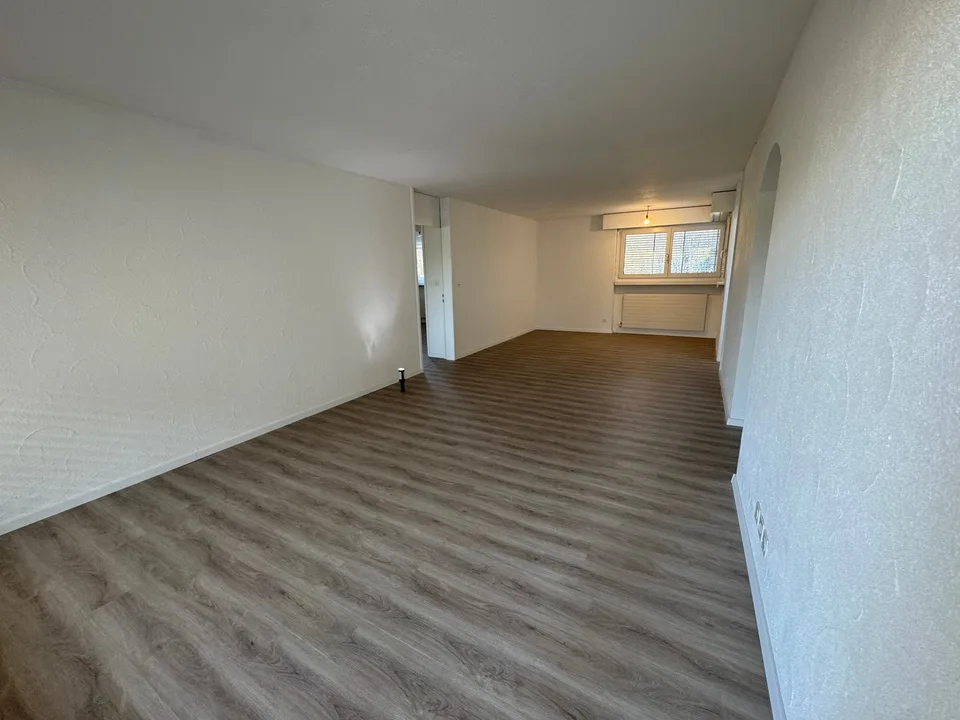 Appartement rénové récemment, tour de lavage privée
