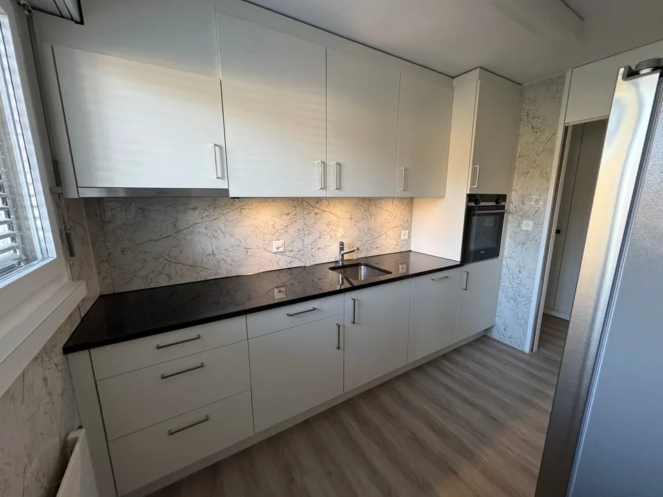 Appartement rénové récemment, tour de lavage privée