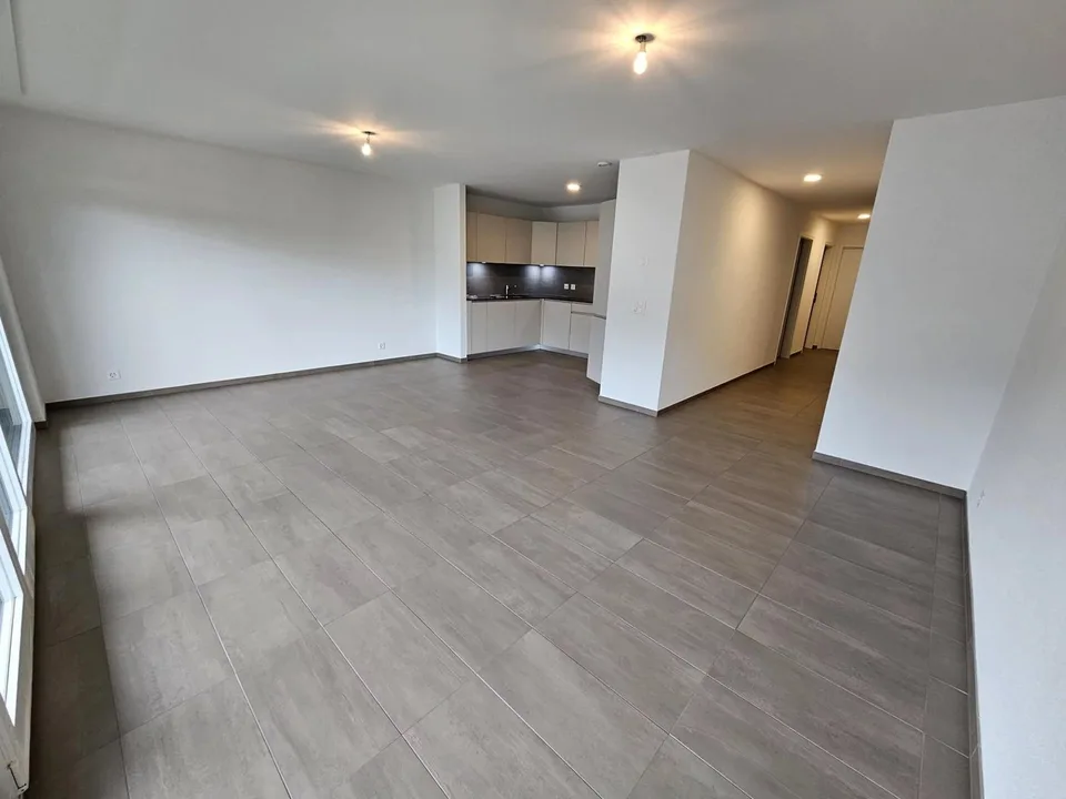 Bello appartamento contemporaneo di 3.5 locali con balcone