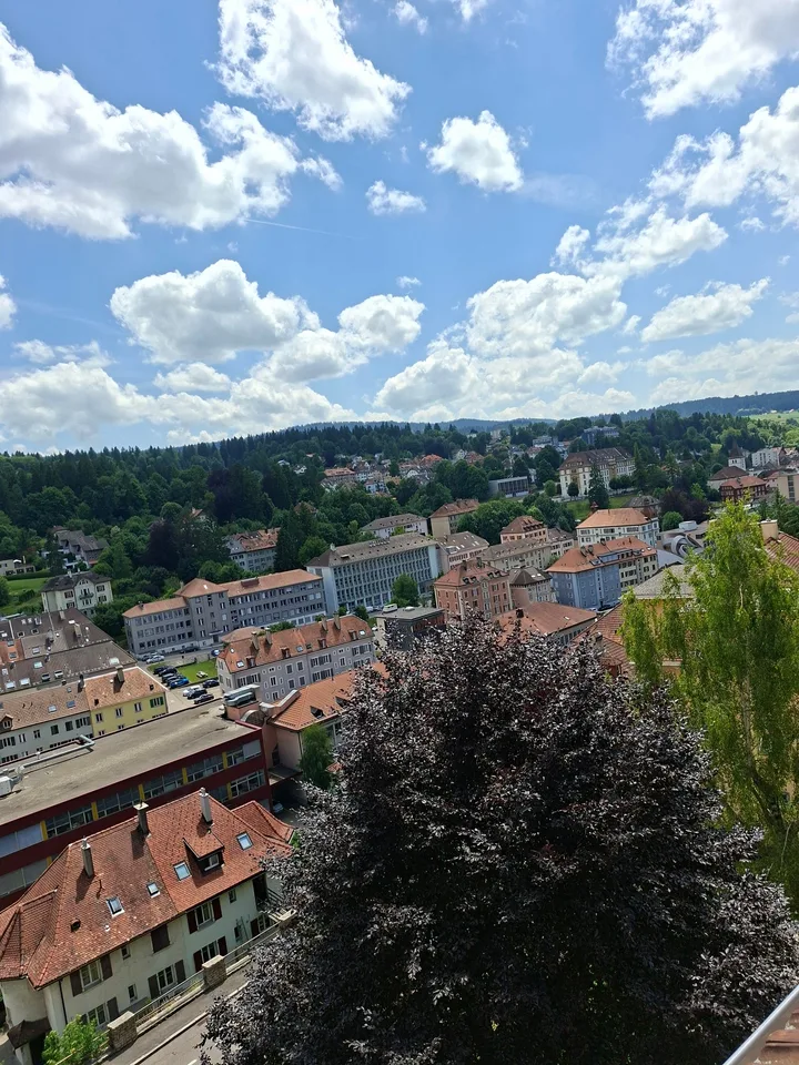 Charmanter Apartment mit 2 Zimmern und Blick auf die Stadt im Locle – Foto 7 von 8