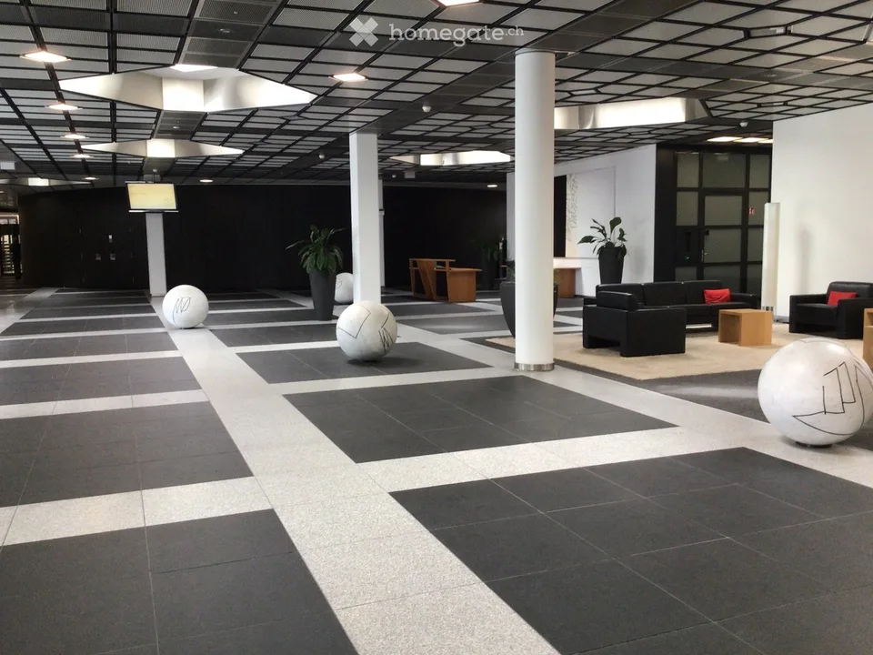 Modern offices of 530 m2