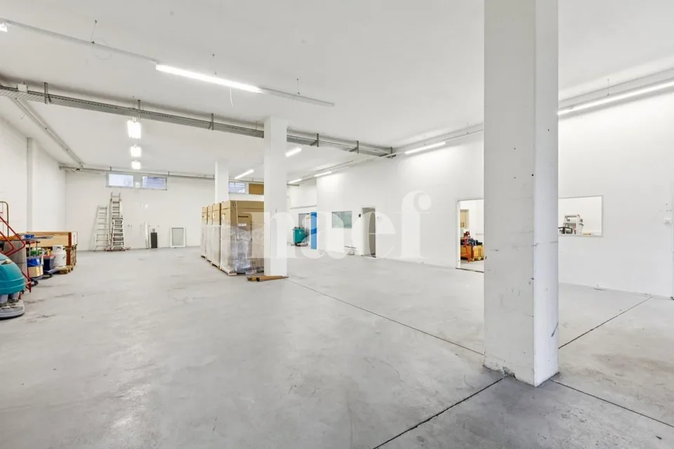 Nuova superficie commerciale disponibile di 380 m2