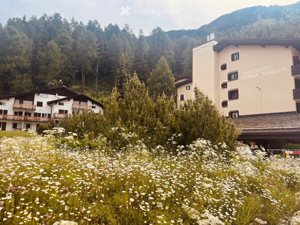 1.5 - Apartment in Silvaplana-Surlej