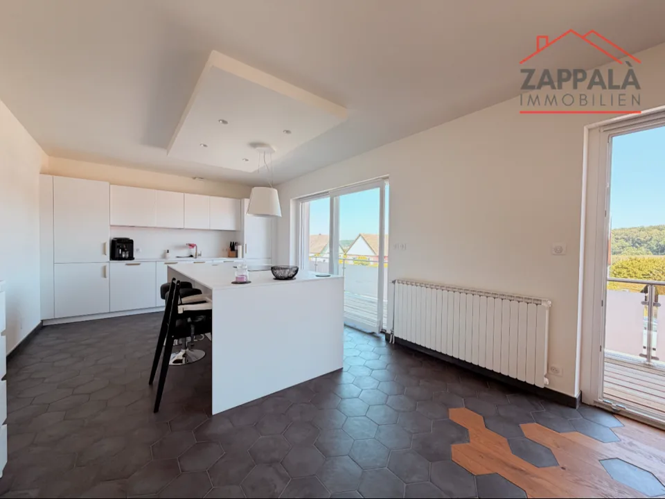 Maison individuelle magnifique et ultra-moderne à Riespach