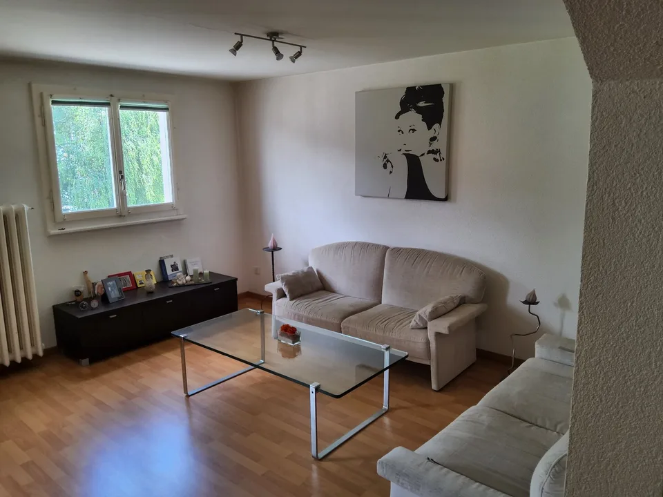 Maison 8,5 pièces avec restaurant et réserve de terrain constructible