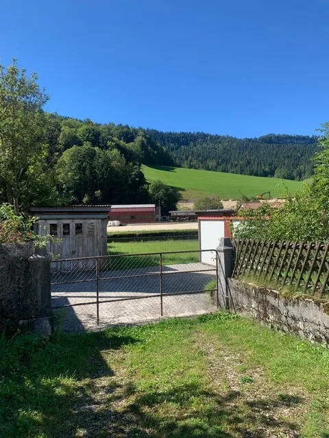 2123 St-Sulpice Vendita di una vecchia casa di villaggio da ristrutturare con grande terreno – foto 8 di 14