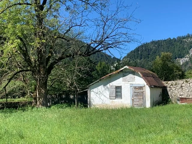 2123 St-Sulpice Vendita di una vecchia casa di villaggio da ristrutturare con grande terreno – foto 7 di 14
