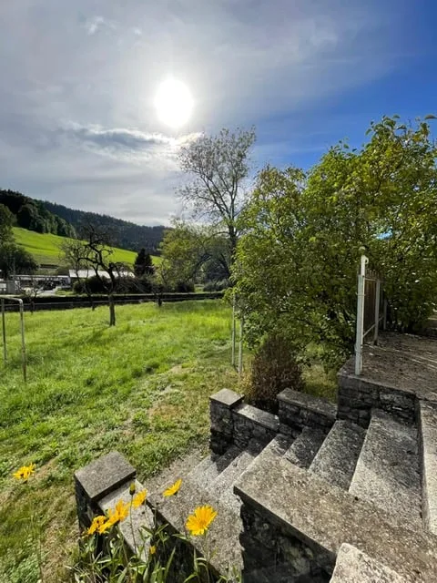 2123 St-Sulpice Sale of an old village house to renovate with large land