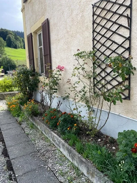 2123 St-Sulpice Vendita di una vecchia casa di villaggio da ristrutturare con grande terreno – foto 9 di 14