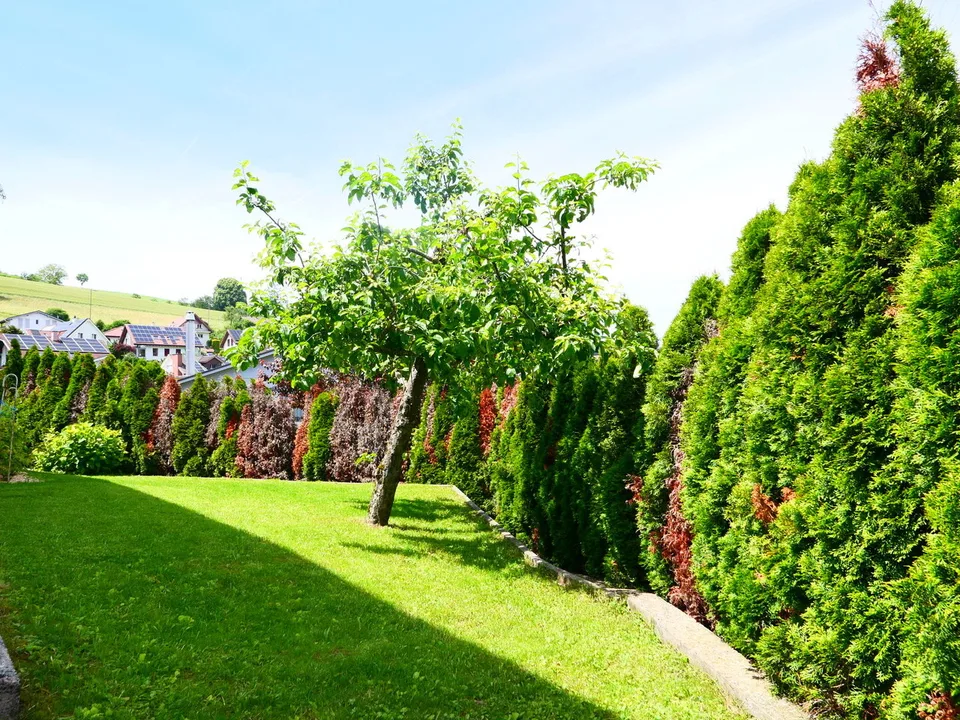 Maison individuelle, bien entretenue avec emplacement élevé pour vivre et une belle vue ... – photo 18 sur 20