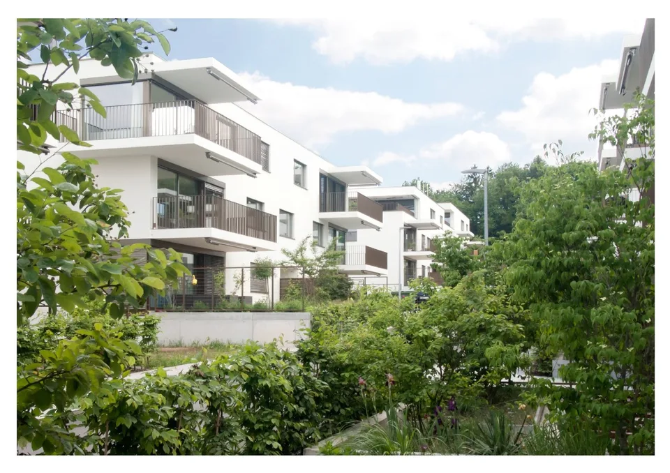 Attico esclusivo nel ChlyHolz – 6,5 locali e 453 m² di spazio utilizzabile con terrazza spaziosa – foto 15 di 17