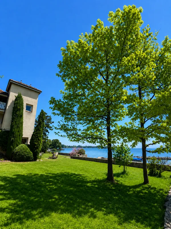 Exceptional Waterfront Property in Nyon