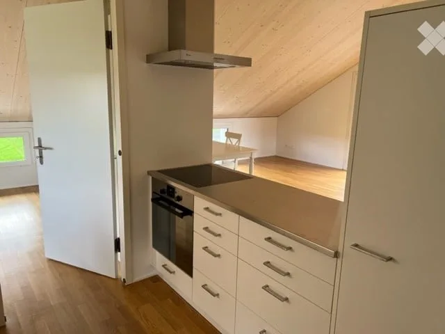 Investimento con cuore – Rifugio per cani con proprietà residenziale in vendita – foto 7 di 9