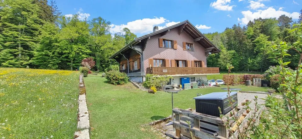Chalet on the edge of the forest