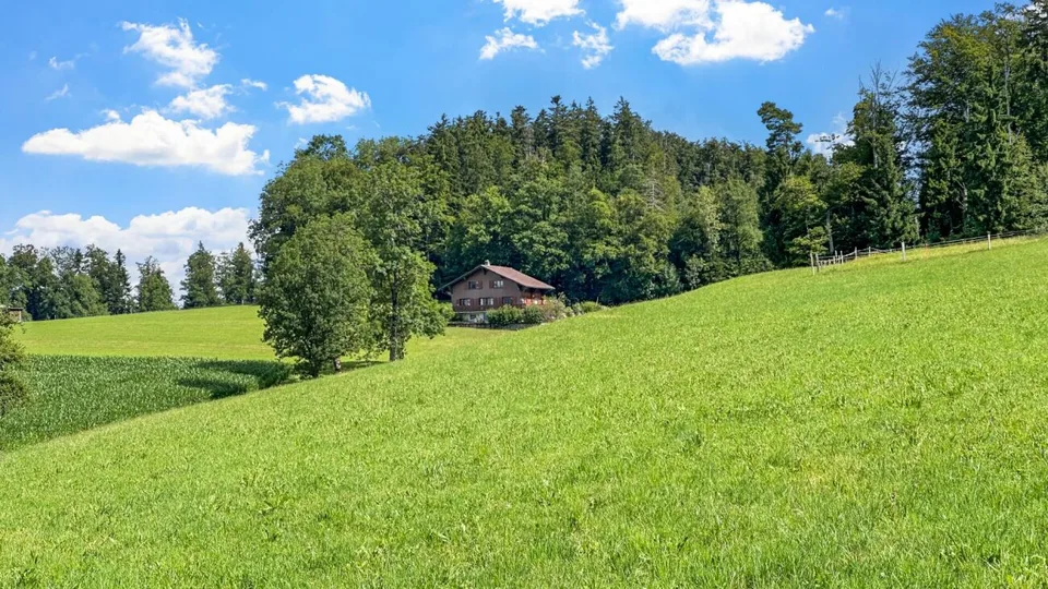 Chalet on the edge of the forest