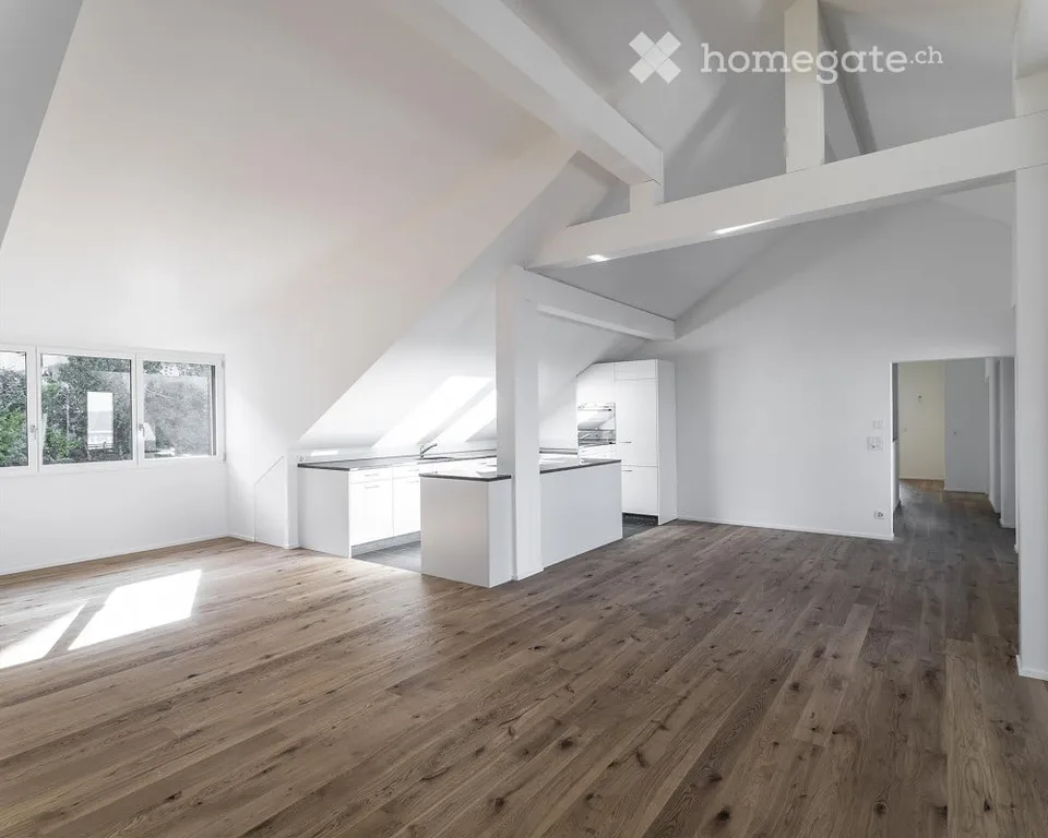 4.5 Zimmer Wohnung, Zürich - "Wunderschöne Dachgeschosswohnung mit Blick über die Stadt"