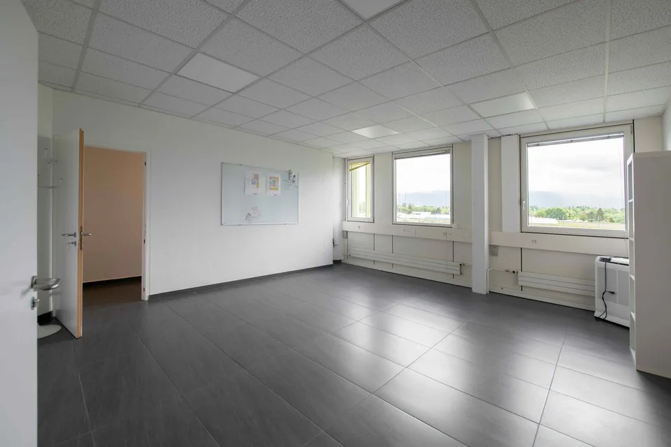 Surface à Plan-les-Ouates  –  CTN 12  –  2ᵉ étage : env. 379 m²