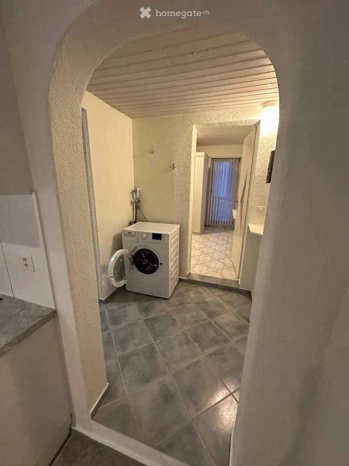 Bella appartamento 2.5 locali in affitto al piano terra