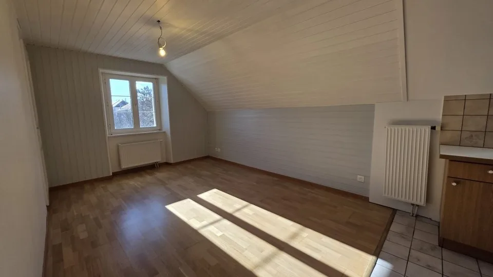 BELLO APPARTAMENTO 2 LOCALI COMPLETAMENTE RISTRUTTURATO SITUATO VICINO ALLA SCUOLA