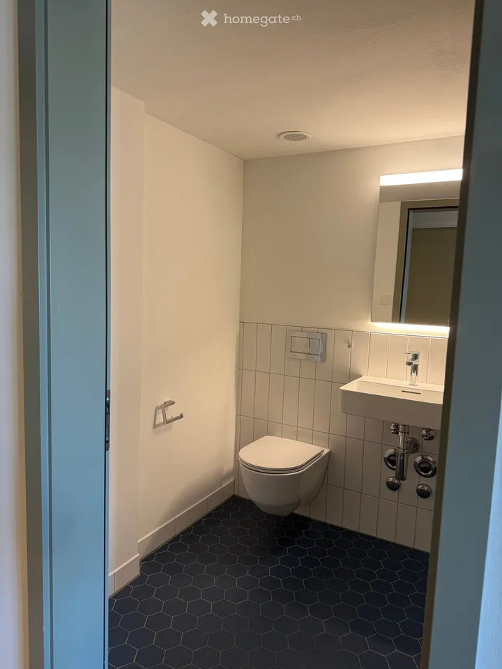 Moderne 1.5-Zimmer-Wohnung mit Balkon und schöner Aussicht in Mettmenstetten