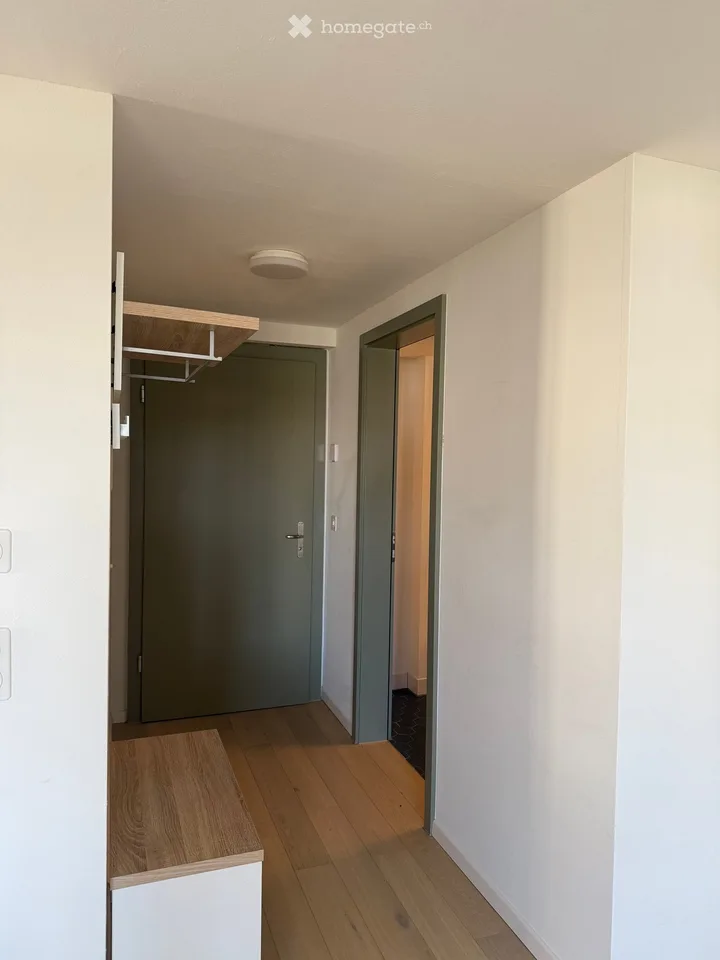 Moderne 1.5-Zimmer-Wohnung mit Balkon und schöner Aussicht in Mettmenstetten