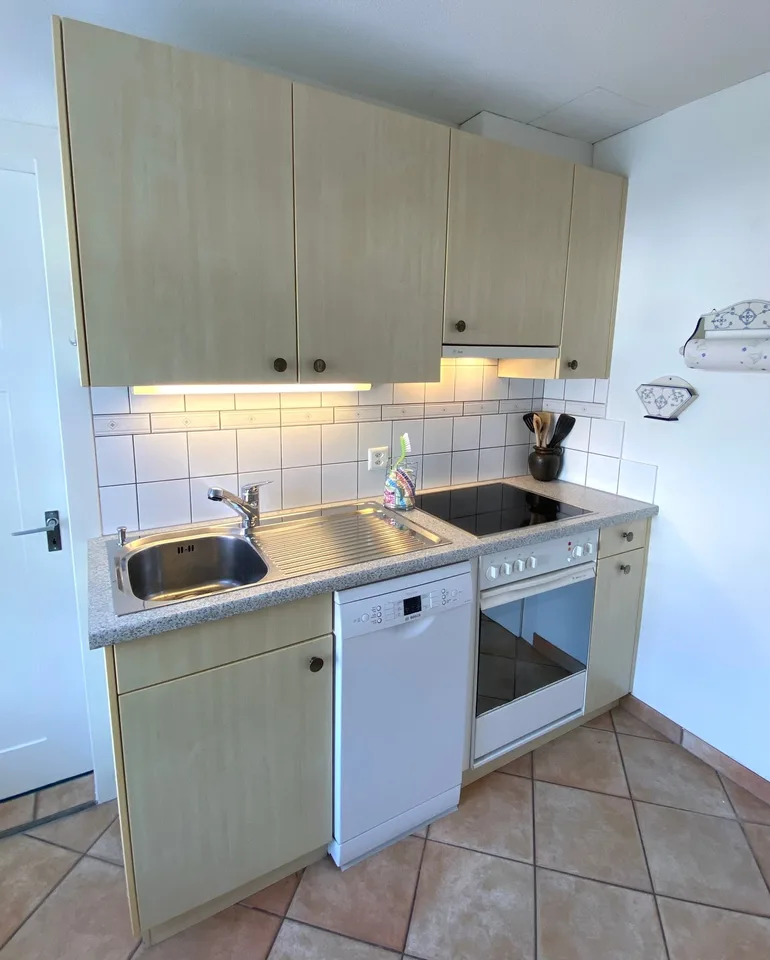 3 ZI-WOHNUNG IN RICKENBACH SULZ (ZH), MÖBLIERT, TEMPORÄR