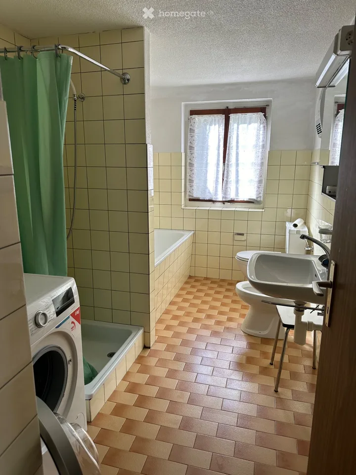 Langfristige oder Urlaubsvermietung in Dalpe