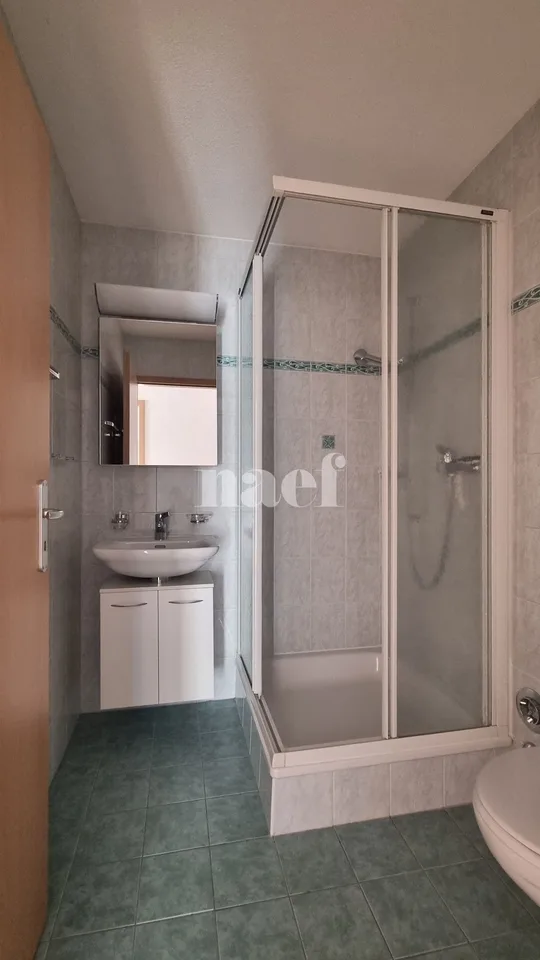 Spacieux appartement de 5.5 pièces au 3ème étage – photo 13 sur 17