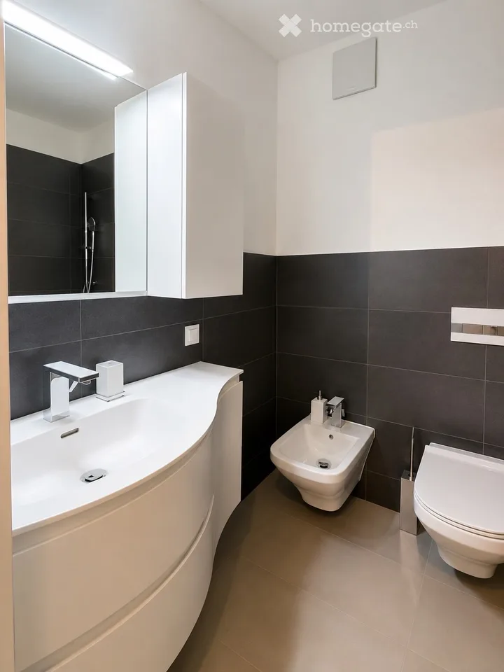 Rent 2 rooms apartment in Bellinzona