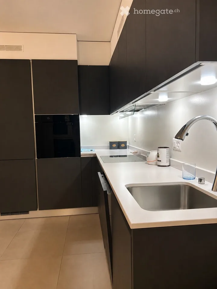 Rent 2 rooms apartment in Bellinzona