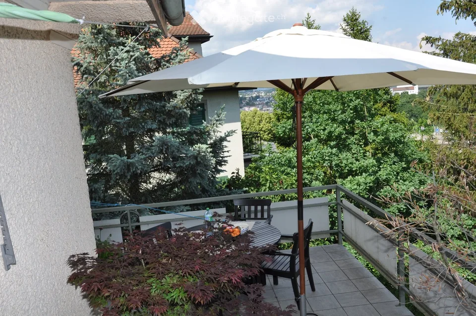 Charmant appartement terrasse 6 pièces dans un immeuble ancien – Schaffhausen