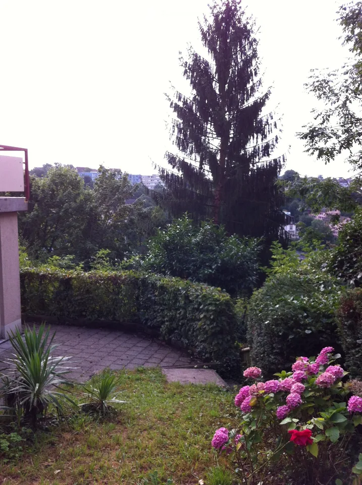 Charmant appartement terrasse 6 pièces dans un immeuble ancien – Schaffhausen