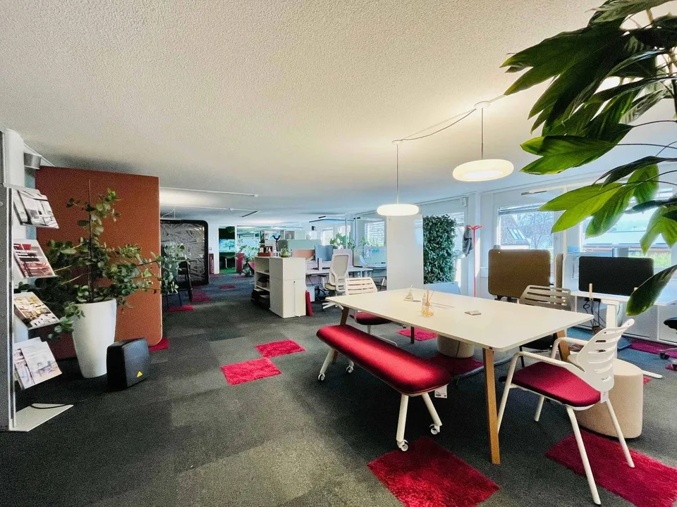 Commercial premises, showroom, 490 m2 warehouse for rent in Mont sur Lausanne