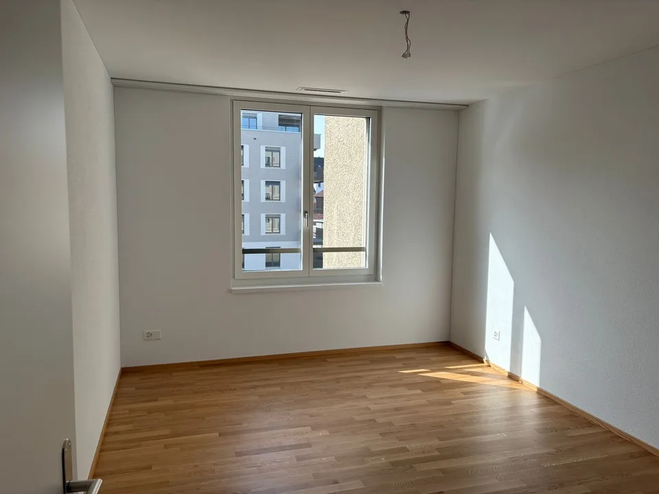 Moderne 4.5-Zimmer-Wohnungen in Egnach