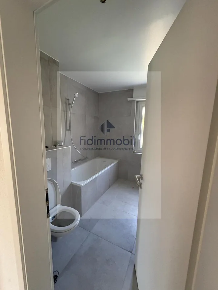 Wohnung mit 3 Zimmern komplett renoviert