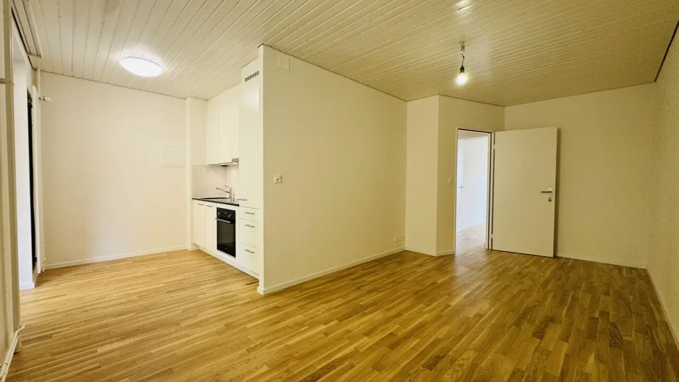 Primo affitto 2,5 locali con lavatrice/asciugatrice privata, ampio balcone e cantina