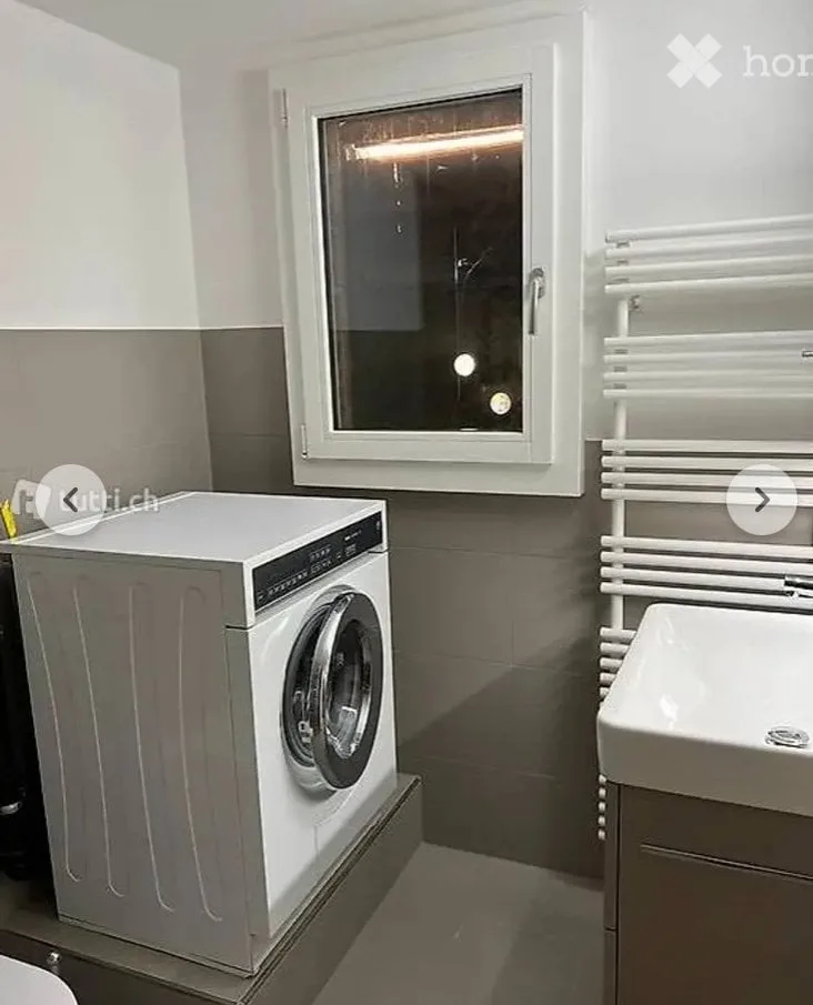 Charmante 2.5-Zimmer-Wohnung in Brittern
