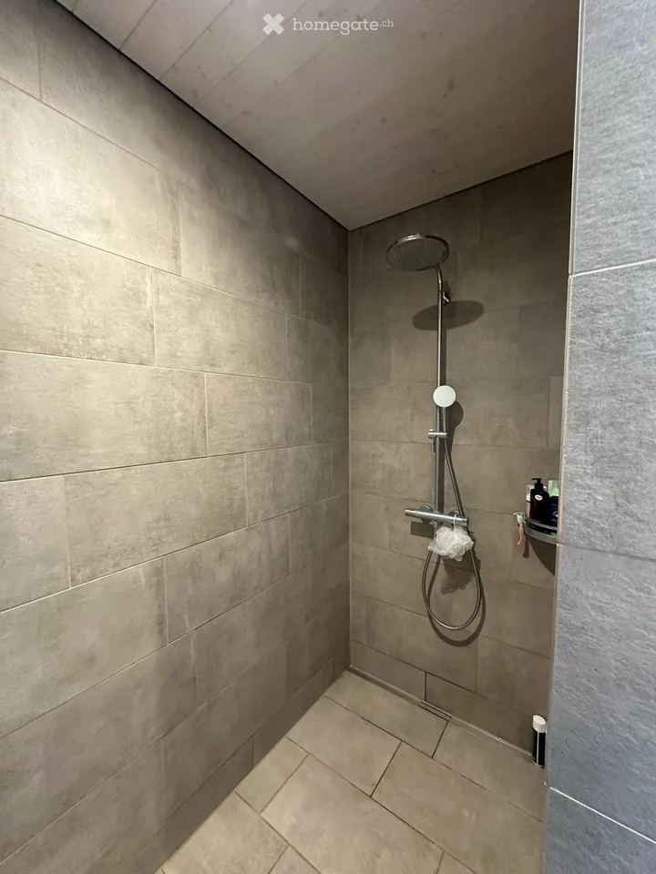 Recherche sous-locataire d'appartement