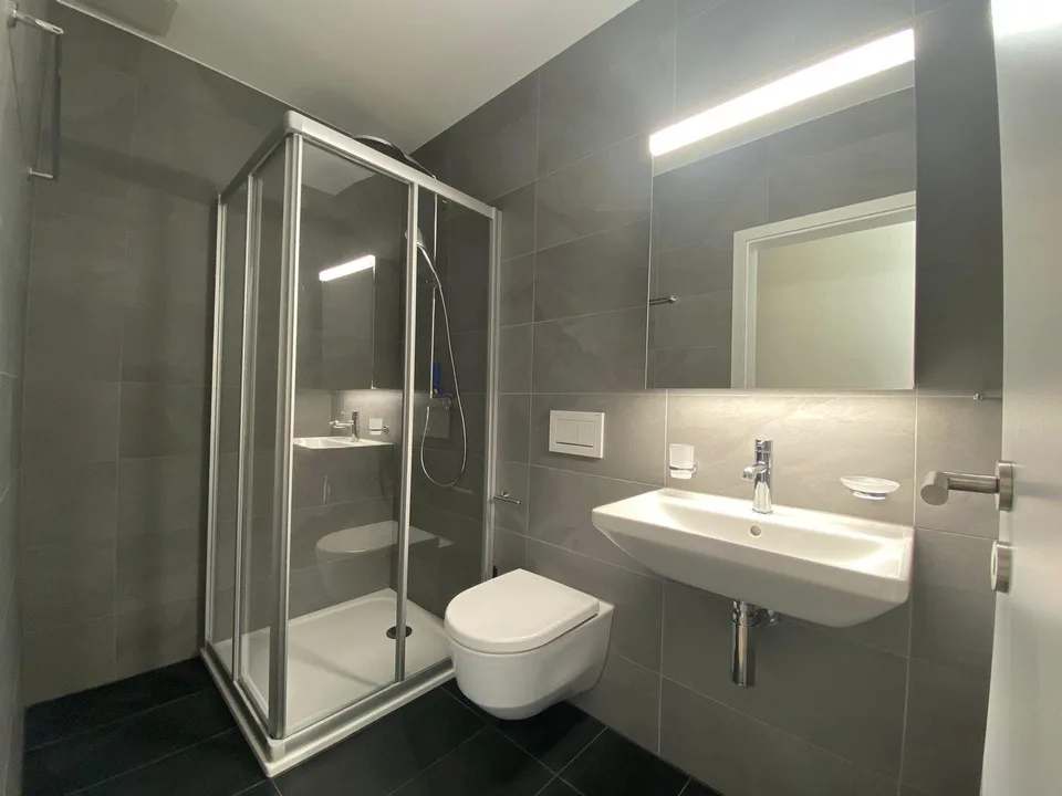 Superb 5.5-room attic apartment