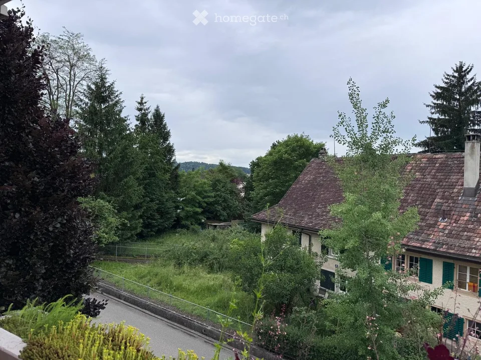 Gemütliche 3.5-Zimmer-Wohnung mit Balkon in Seebach, Zürich
