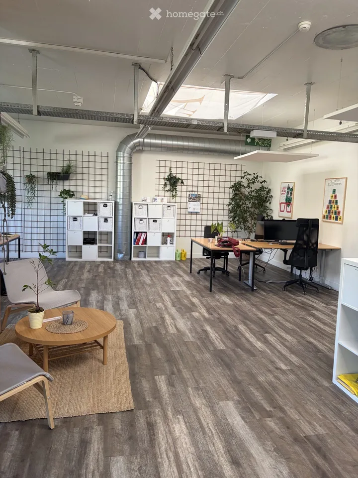 Rare - Bureaux refaits à neuf en plein centre de Carouge