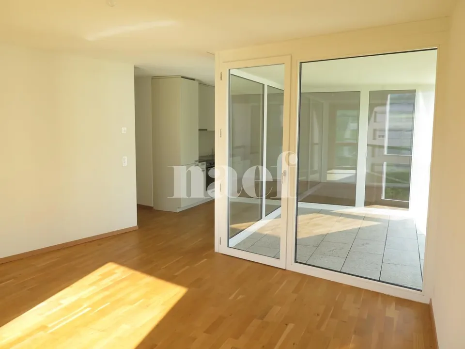 Beautiful apartment on the Boudry plateau