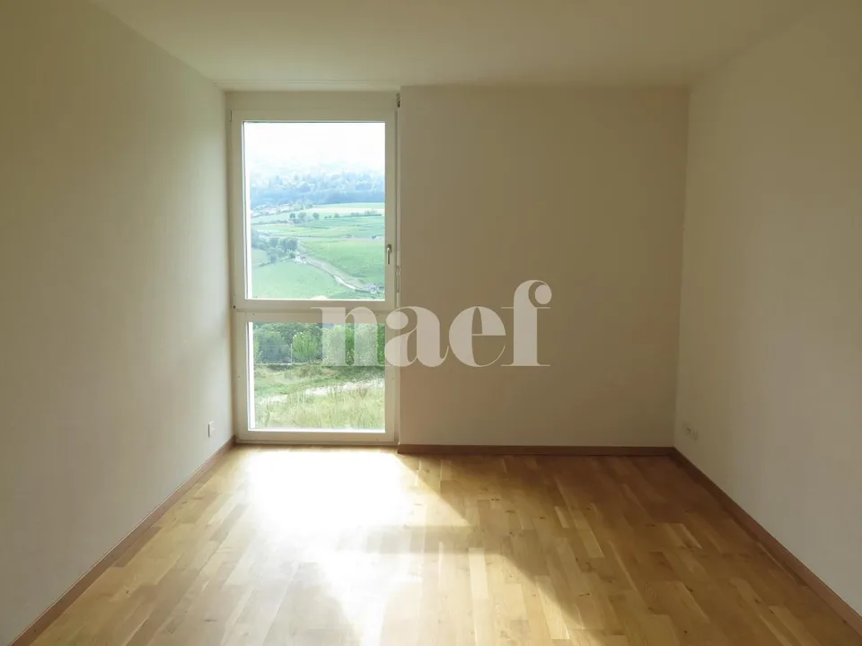 Beautiful apartment on the Boudry plateau
