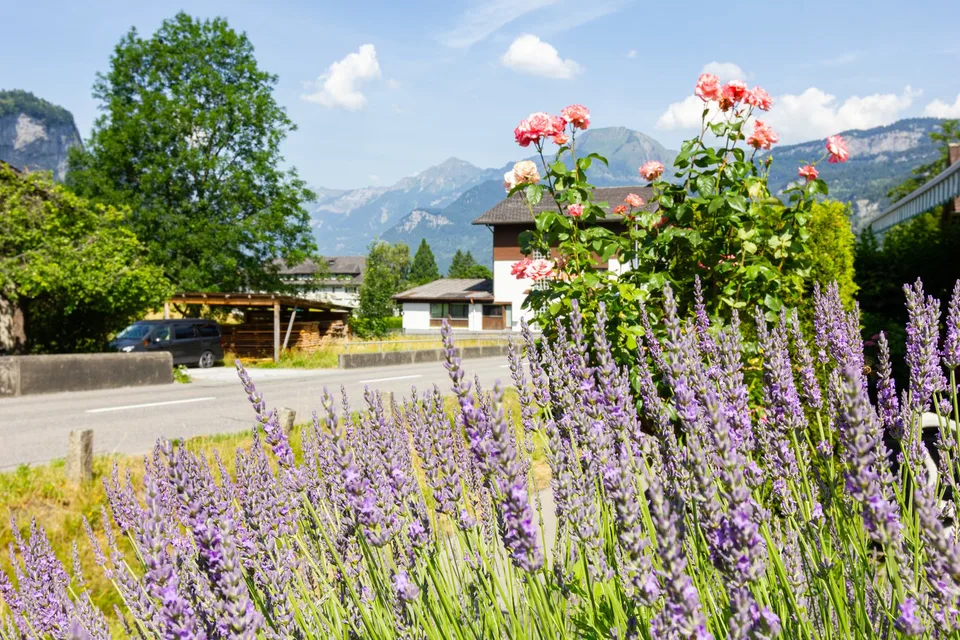 Un terrain au milieu des montagnes