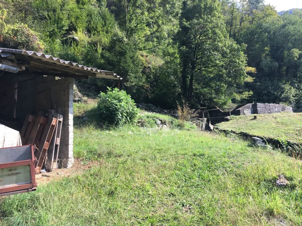 Terreno edificabile R3 + terreno boschivo