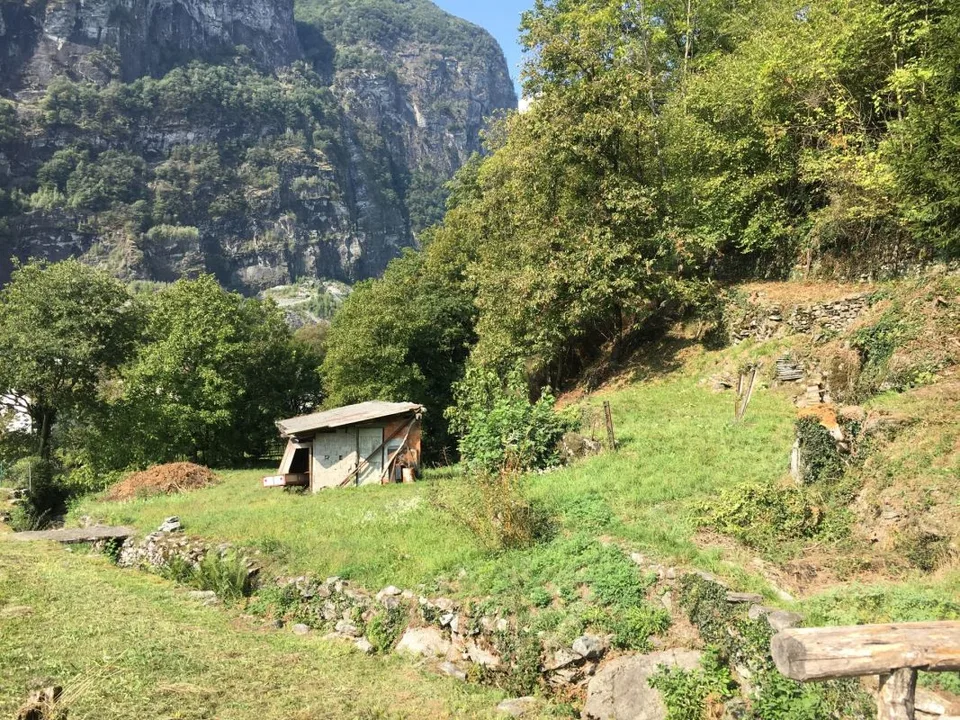 Terreno edificabile R3 + terreno boschivo
