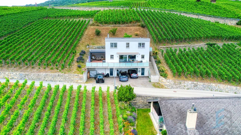 EXCLUSIF Charmante villa individuelle 5 ½ pièces au coeur du vignoble