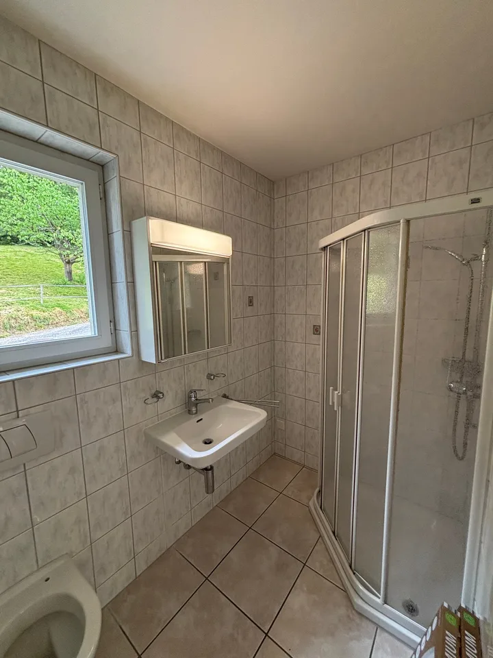 Einfamilienhaus mit grossem Potenzial für Handwerker und Hobbybegeisterte – Foto 13 von 30