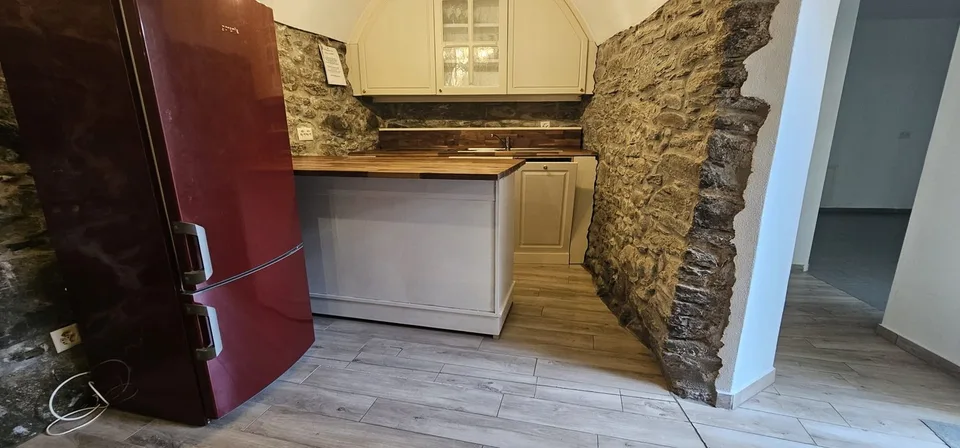 Appartement fascinant de 3.5 pièces à Monteceneri